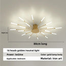 Axyaa Firework Decor LED Ceiling Lights for Living Room Bedroom Kitchen, Nordic Indoor Home Fixture