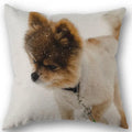 Axyaa Pomeranian Dog Pillowcase Cotton Linen Square Zipper 45X45cm Wedding Decor Pillow cover