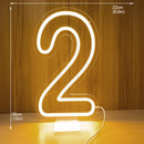 Axyaa Neon Party Sign 38cm Birthday Lights USB Powered with Dimmable Base