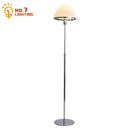 Axyaa Iron Art Glass Floor Lamp LED E27 Minimalist Chrome Vertical Table Lamp