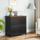 Axyaa Wood Lateral File Cabinet 2-Drawer, Home Office Filing Cabinet