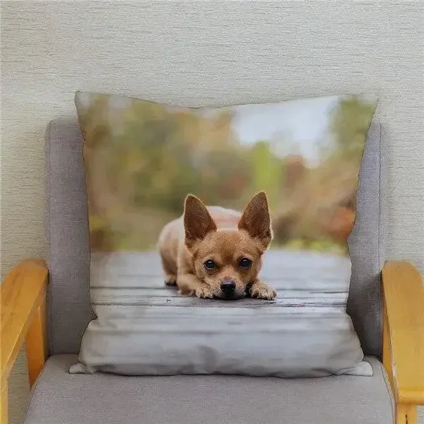 Chihuahua Dog Printed Cushion Cover by Axyaa for Home Decor