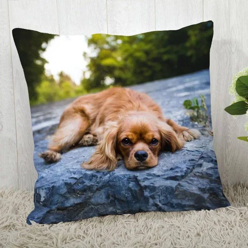Axyaa Cocker Spaniel Sofa Cushion Cover - Creative and Simple Home Decor