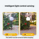 Axyaa Solar Ball LED Light Outdoor Waterproof Garden Decoration