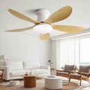 Axyaa Ceiling Fan Light Remote Control Small Living Room Dining Room 110V 220V
