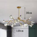 Axyaa Crystal Chandelier Pendant Light for Living Room, Bedroom, and Ceiling