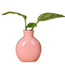 Axyaa Mini Ceramic Vase 7.5x6cm Desktop Decoration for Home Décor and Props