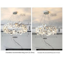 Axyaa LED Crystal Chandelier - Modern Luxury Lighting for Living Room and Bedroom