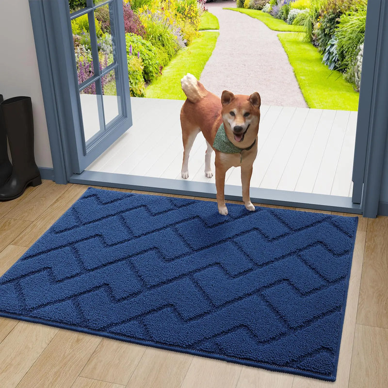 Axyaa Indoor Non-Slip Entrance Mat - Absorbent & Durable Doormat