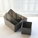 Axyaa Underwear Drawer Organizer Box for Wardrobe Clothes, Bras, Socks, Pants & More