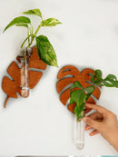 Axyaa Indoor Plant Wall Planter Propagation Station - Unique Gardening Gift for Plant Lovers