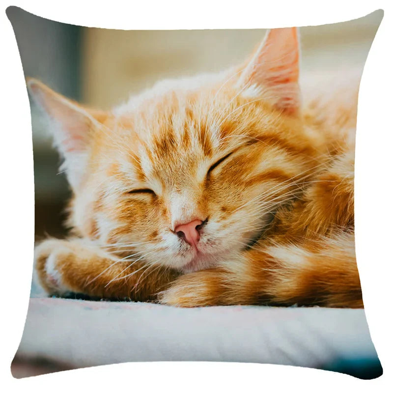 Axyaa Cute Cat Pillowcase Bubble Black  Kids Gift Decor Custom
