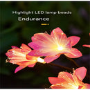 Axya Solar Flower Lights: Brighten Your Outdoor Space