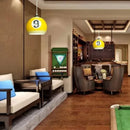Axyaa Nordic LED Billiards Pendant Lamp for Bar and Home Decoration