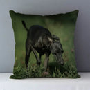 Axyaa Greyhound Printed Linen Cushion Cover - 45x45cm Square Sofa Bed Pillow