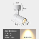 Axyaa LED Ceiling Spotlight: Adjustable Living Room Bedroom Downlight