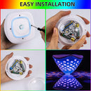 Axyaa Floating Fish Pattern Lights for Bathtubs, Pools, Aquariums & Parties
