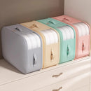 Axyaa Vacuum Storage Bags: Large Capacity, Transparent, Dustproof, Multifunctional Clothing Storage Bag