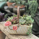 Rattan Hand Flower Pot Vase Succulent Plant Holder by Axyaa