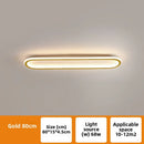 Axyaa Modern LED Ceiling Light for Corridor Decor & Hallway Illumination