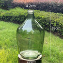 Axyaa Glass Vase: Big Belly Flower Arrangement Hydroponics Home Decoration