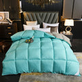 Axyaa Winter Goose Down Duvet Comforter for Single/Double Bed