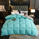Axyaa Winter Goose Down Duvet Comforter for Single/Double Bed
