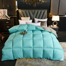 Axyaa Goose Down Comforter Quilted Double Single Size Winter Blanket