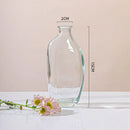 Axyaa Zen Glass Vase Geometric Single Flower Holder for Home Decor