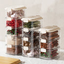 Axyaa Spice Storage Boxes: Multi-layered Plastic Seasoning Organizer for Kitchen