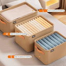 Axyaa Foldable Storage Bags - Closet and Drawer Organizer for Clothes, Toys, and More