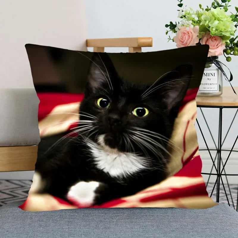 Cute Cat Print Pillowcase by Axyaa - Perfect for Home, Car, and Sofa