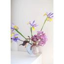 Axyaa Gradient Glass Vase for Stylish Home Decor & Flower Arrangement