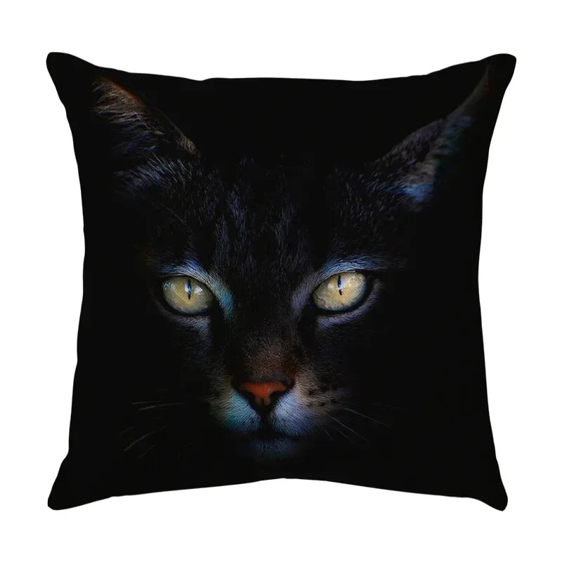 Axyaa Black Cat Cartoon Decorative Cushion Cover