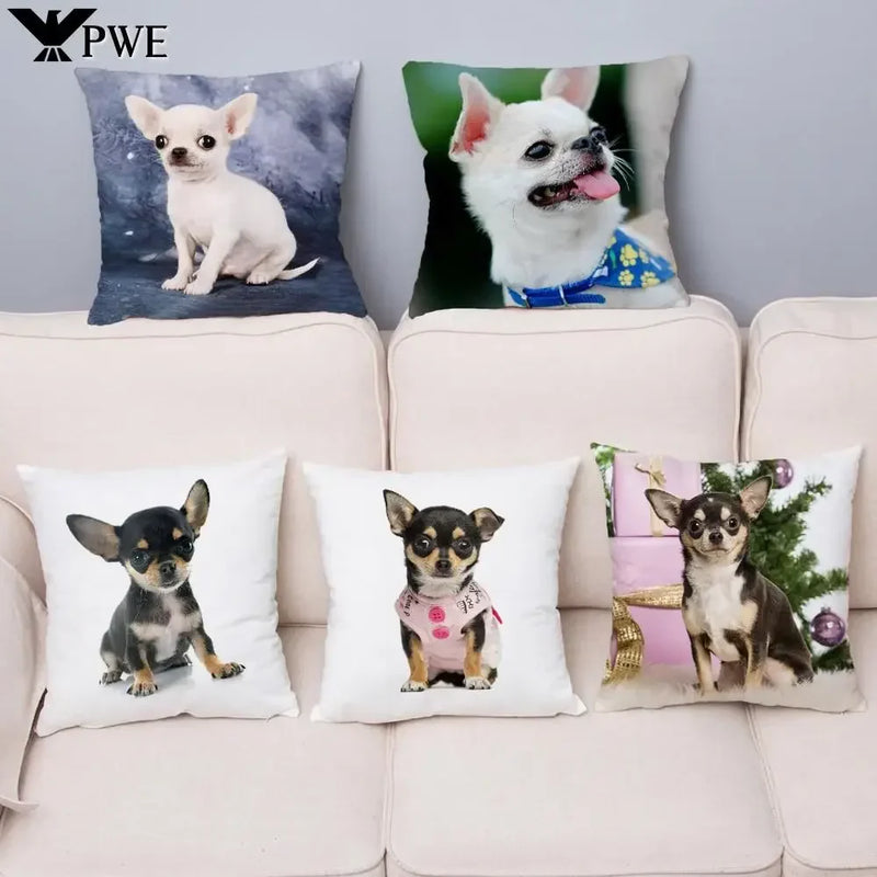 Chihuahua Dog Printed Cushion Cover by Axyaa for Home Decor
