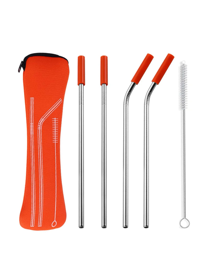 Axyaa Stainless Steel Reusable Straw Set with Cleaning Brush and Cover