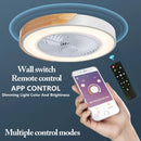 Axyaa Nordic Ceiling Fan with LED Lamp, Dimmable Remote Control, for Indoor Home Decor