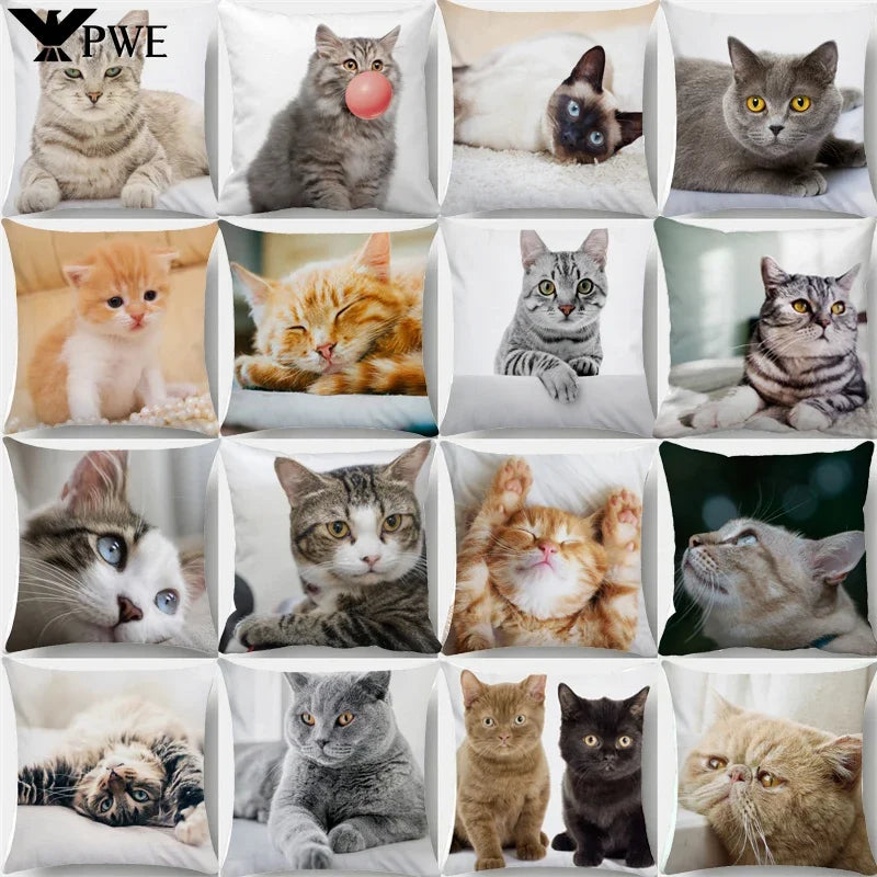 Axyaa Black Cat Bubble Pillow Cases - Premium Animal Cushion Cover for Home Decor