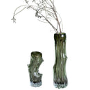 Axyaa Transparent Glass Vase Desk Decoration for Floral Arrangement & Hydroponics