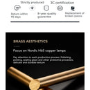 Axyaa Modern Copper LED Ceiling Light with Remote Control
