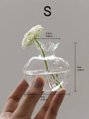 Axyaa Glass Pomegranate Vase: Home Hydroponic Flower Arrangement and Desktop Decoration