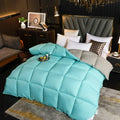 Axyaa Winter Duvet - White Goose Down Core, Double Thickened Quilt