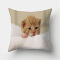 Cute Cat Print Cushion Cover for Sofa Decor by Axyaa