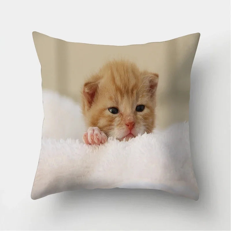 Cute Cat Print Cushion Cover for Sofa Decor by Axyaa