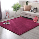 Axyaa Coral Fleece Soft Area Rug for Living Room, Bedroom, or Yoga Mat