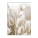 Axyaa Beige Dandelion Bunny Tail Grass Canvas Art Print Nordic Flower Poster