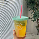 Axyaa Korean Bubble Tea Cup with Portable Straw, BPA-Free Reusable Cute Water Bottle