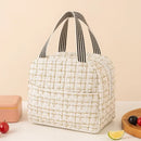 Axyaa Insulated Tote Lunch Bag for Women and Men: Portable Cooler Storage Handbag