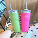 Axyaa Stainless Steel Thermos Bottle with Straw, 700ML Insulation Water Cup