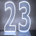 Axyaa Neon Double Digit Acrylic Digital Light for Birthday Party